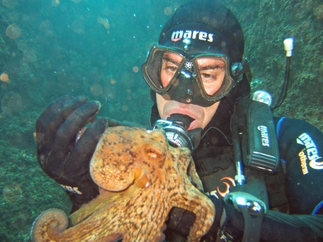 mourosub buceo